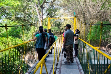Ranganthittu bridge